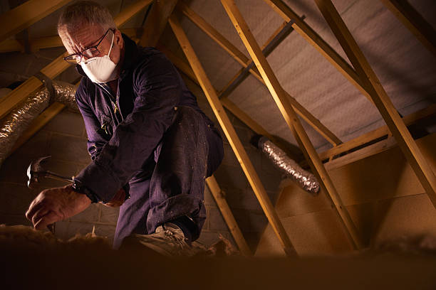 Best Specialty Insulation in Geneva, OH